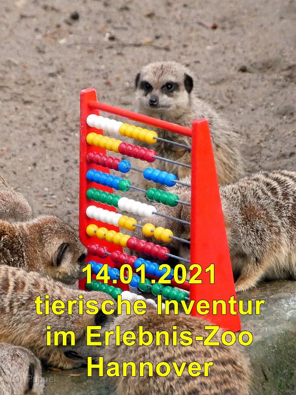 2021/20210114 Erlebnis-Zoo Inventur/index.html
